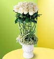 The FTD� Pavilion Rose� Bouquet