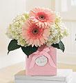 The FTD� Sweet Dreams Girl� Bouquet