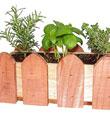 Redwood Herb Planter