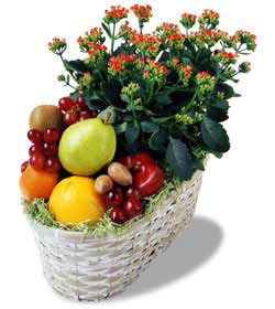 The FTD� Fruit & Flowers Basket